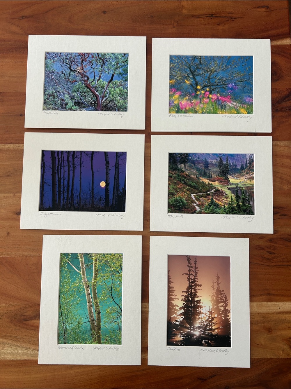 Lot of 8 by 10 nature prints by Michael Wheatley